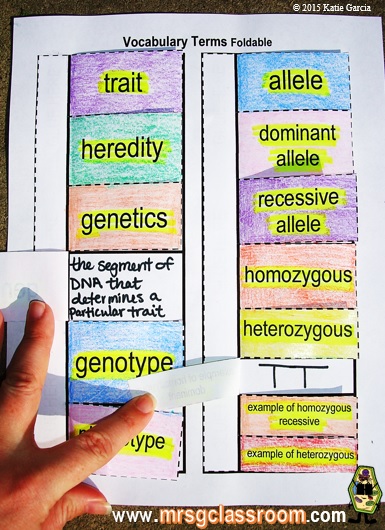 genetics-vocabulary-worksheet-answer-key