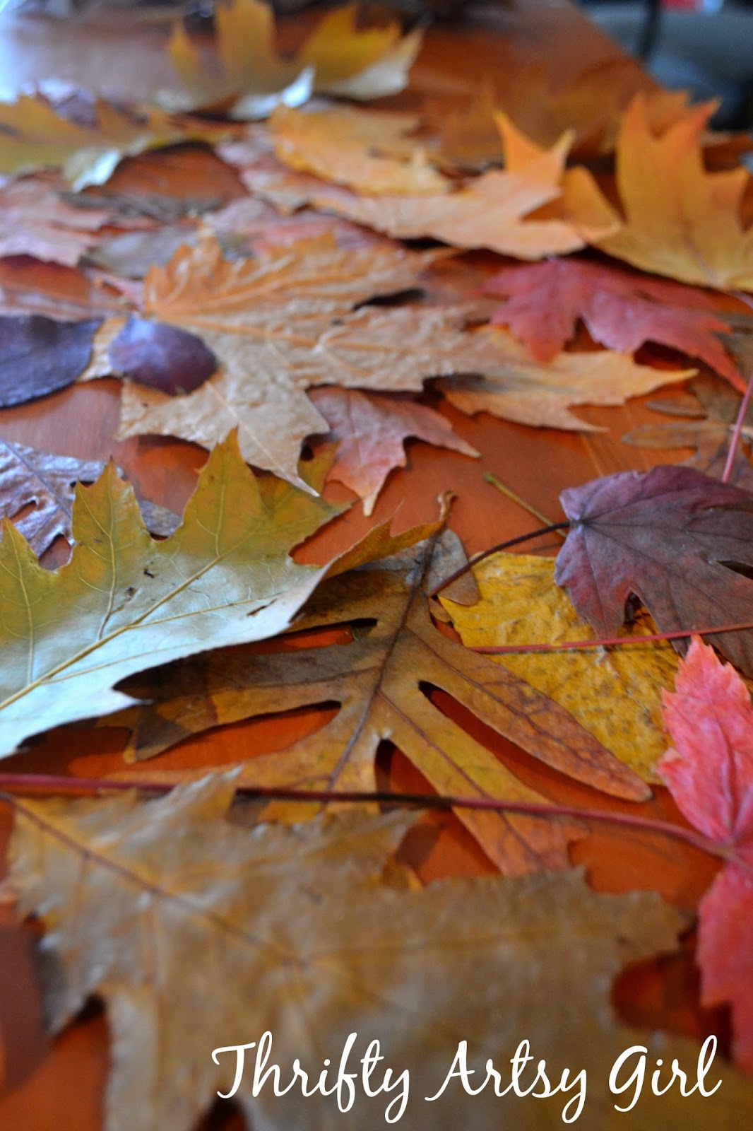 Fall Leaves in Wax Paper - The Seasoned Mom