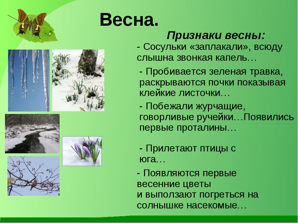 Приметы весны для 2 класса окружающий. Приметы весны для 2 класса окружающий