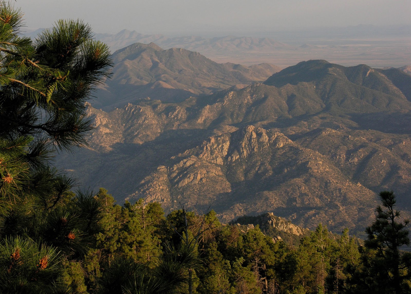 Finding Arizona Sky Islands of Arizona