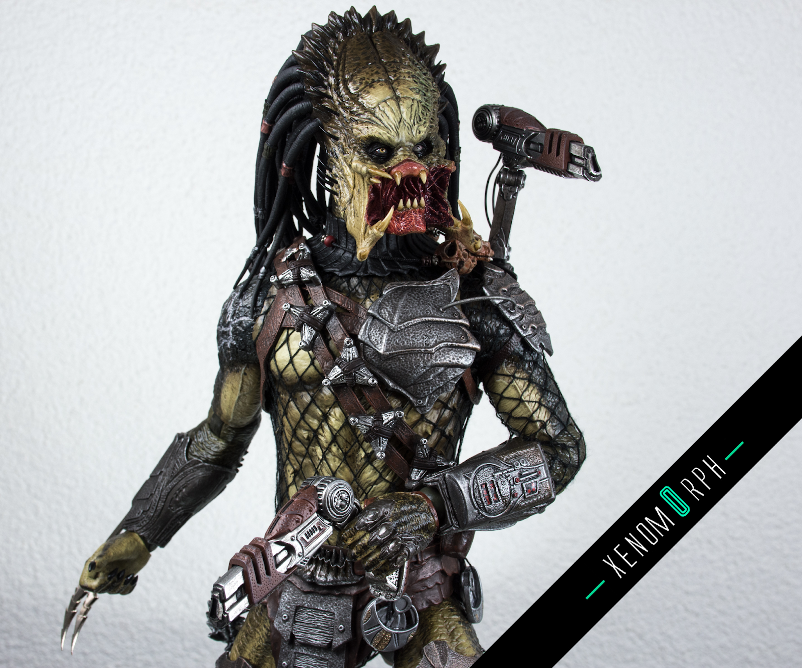 Hot toys wolf predator Clearance