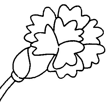 Clavel Dibujo Dibujos para imprimir y colorear Clavel para colorear