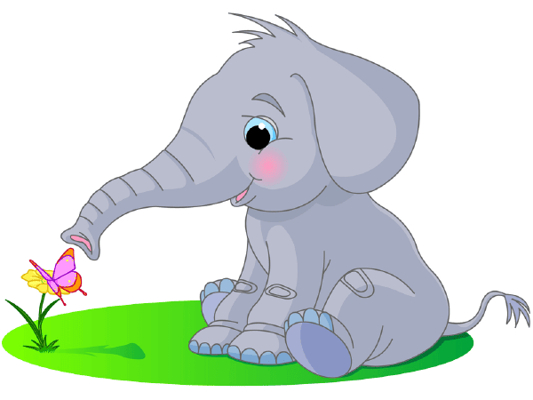 Butterfly and Elephant