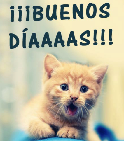 Imagenes Graciosas De Saludos De Buenos Dias | saludos buenos dias divertidos im 193 genes de buenos d 205 as Imagenes Graciosas De Saludos De Buenos Dias | saludos buenos dias divertidos im 193 genes de buenos d 205 as