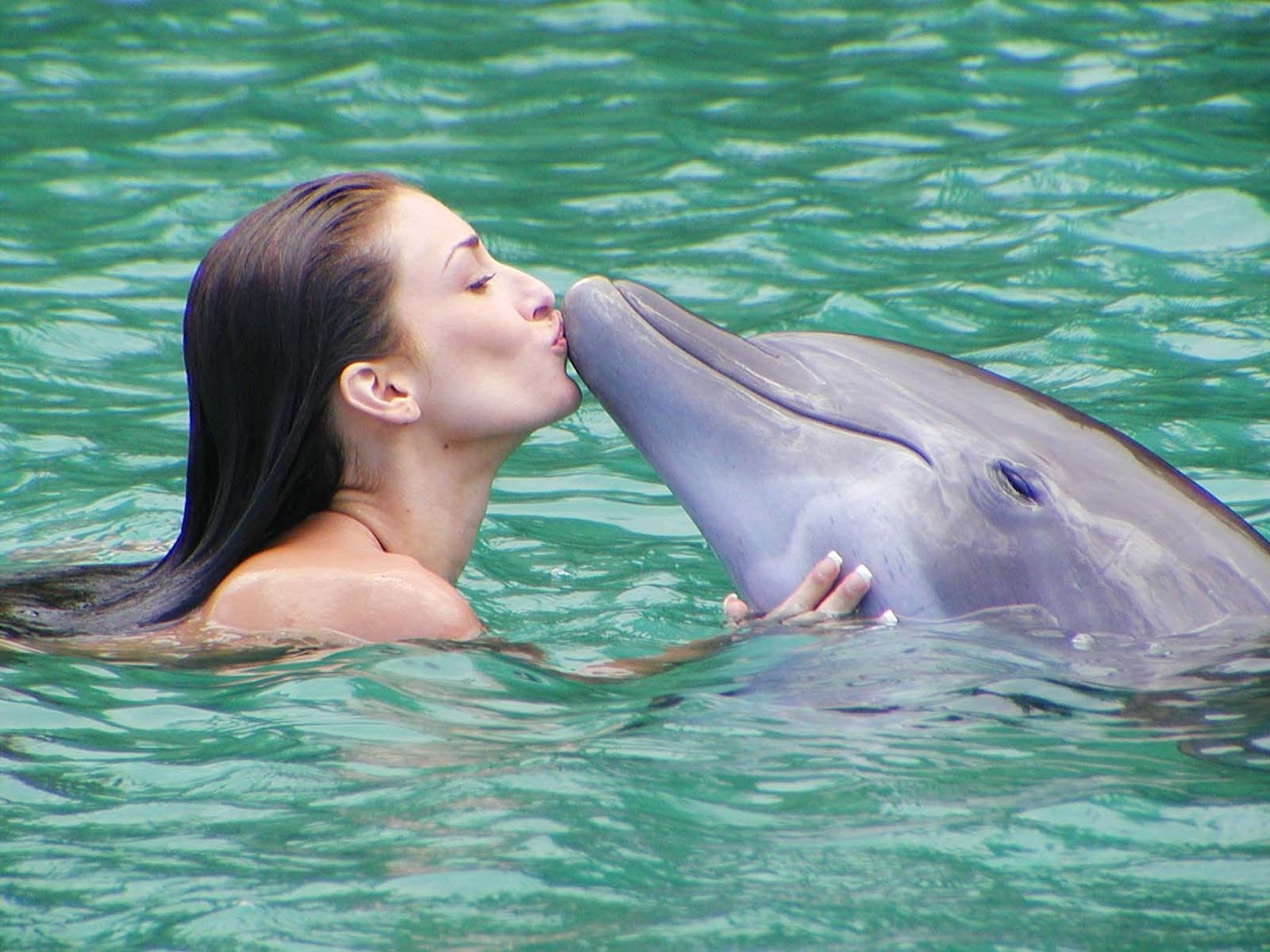 Gay Dolphin Porn - Girl with dolphin cum - Other - Photo XXX