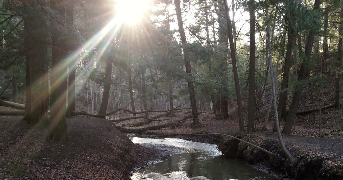Day One Photography Creek at Sulphur Springs