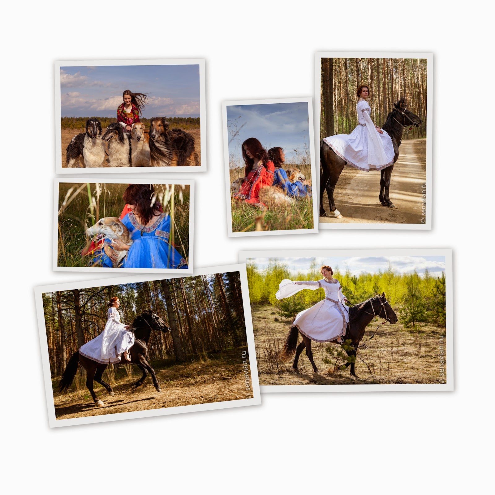 Конные прогулки и фотосессии с лошадьми и борзыми