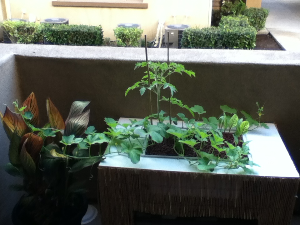 Picture Idea: Design For Aquaponic Tell A Apartment Aquaponic System