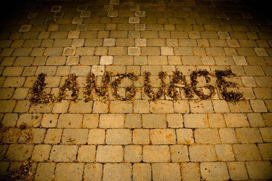 Language and culture Twentysecond July: Language problem?