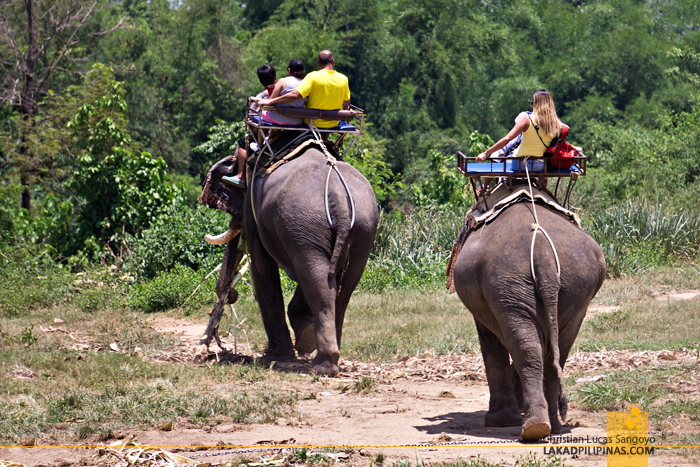 Death Railway Tour Kanchanaburi Elephant Trek Death Railway Tour Kanchanaburi Elephant Trek