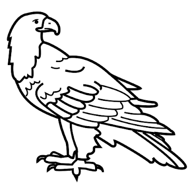 Desenhos de águia para colorir