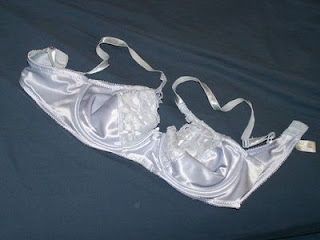 Profound statements from my bra