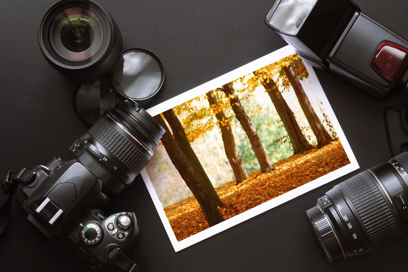 digital photography digital photography