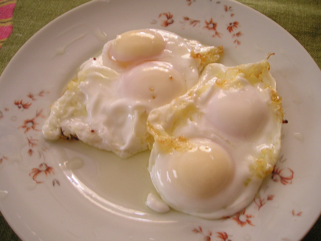 As receitas da minha cozinha Curiosidades