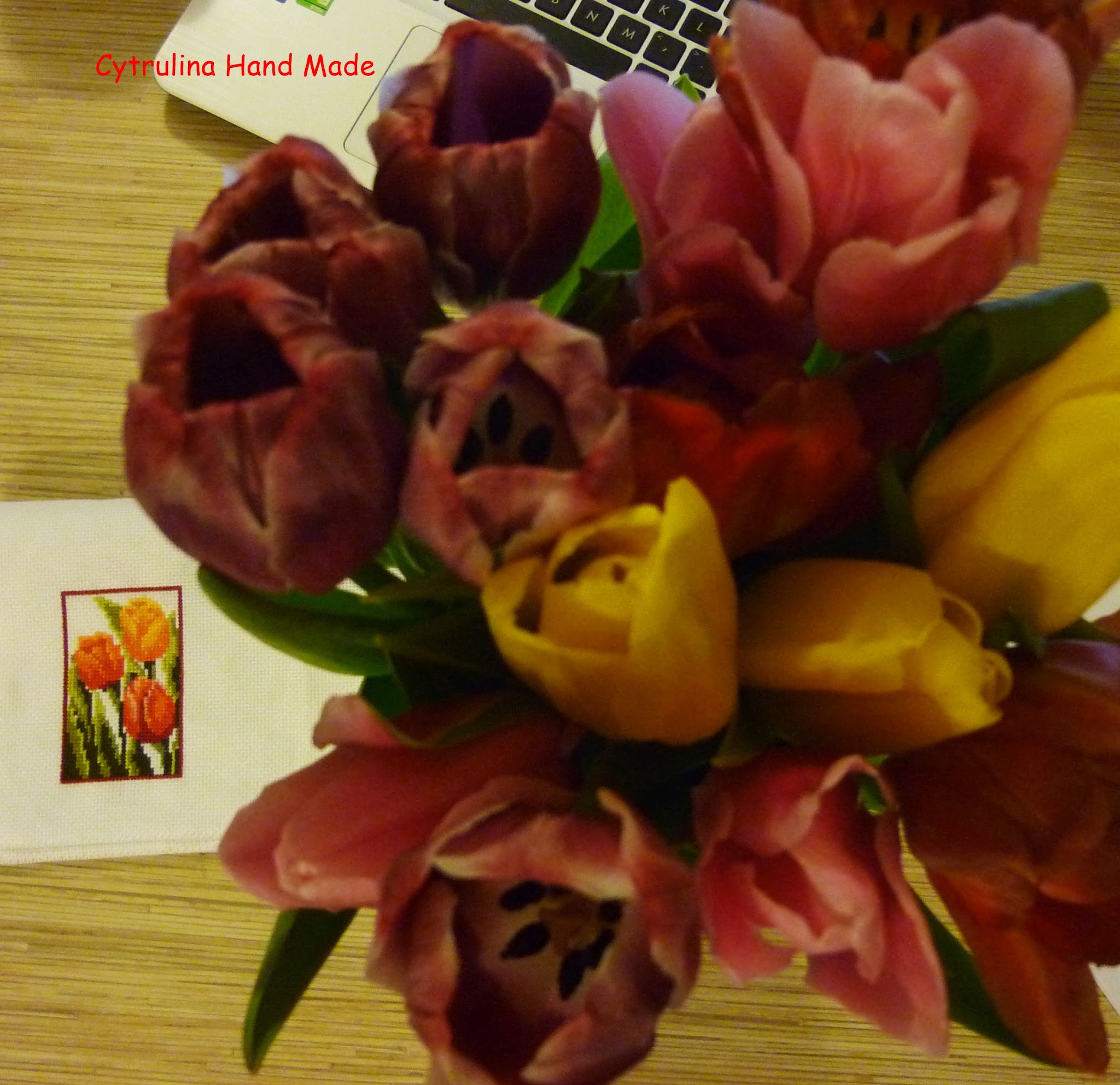 P1130997 - Kwiatowy rok - Tulipan