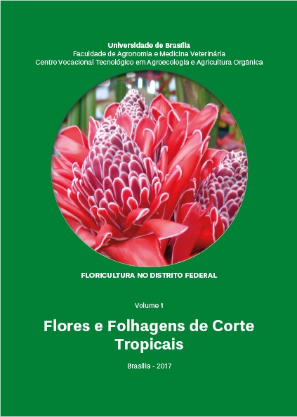 Flores e Folhagens de Corte Tropicais | A planta da vez