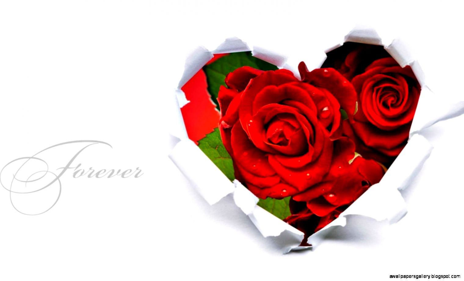 Download Red Roses Heart Wallpaper – Red Rose Flowers  HD