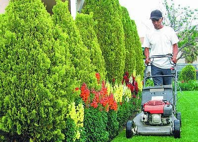 INICIE SU NEGOCIO DE JARDINERIA INICIE SU NEGOCIO DE JARDINERIA