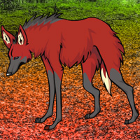 Wowescape Maned Wolf Escape