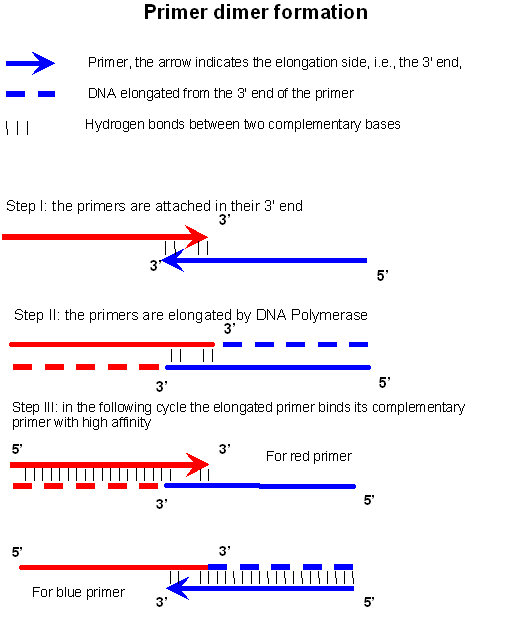 Ten Giga Bio 你不可不知道的 PCR 小技巧 —— HOT START PCR