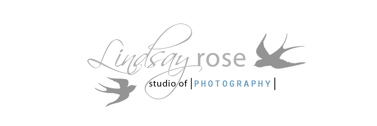 Lindsay Rose Studio of Photography