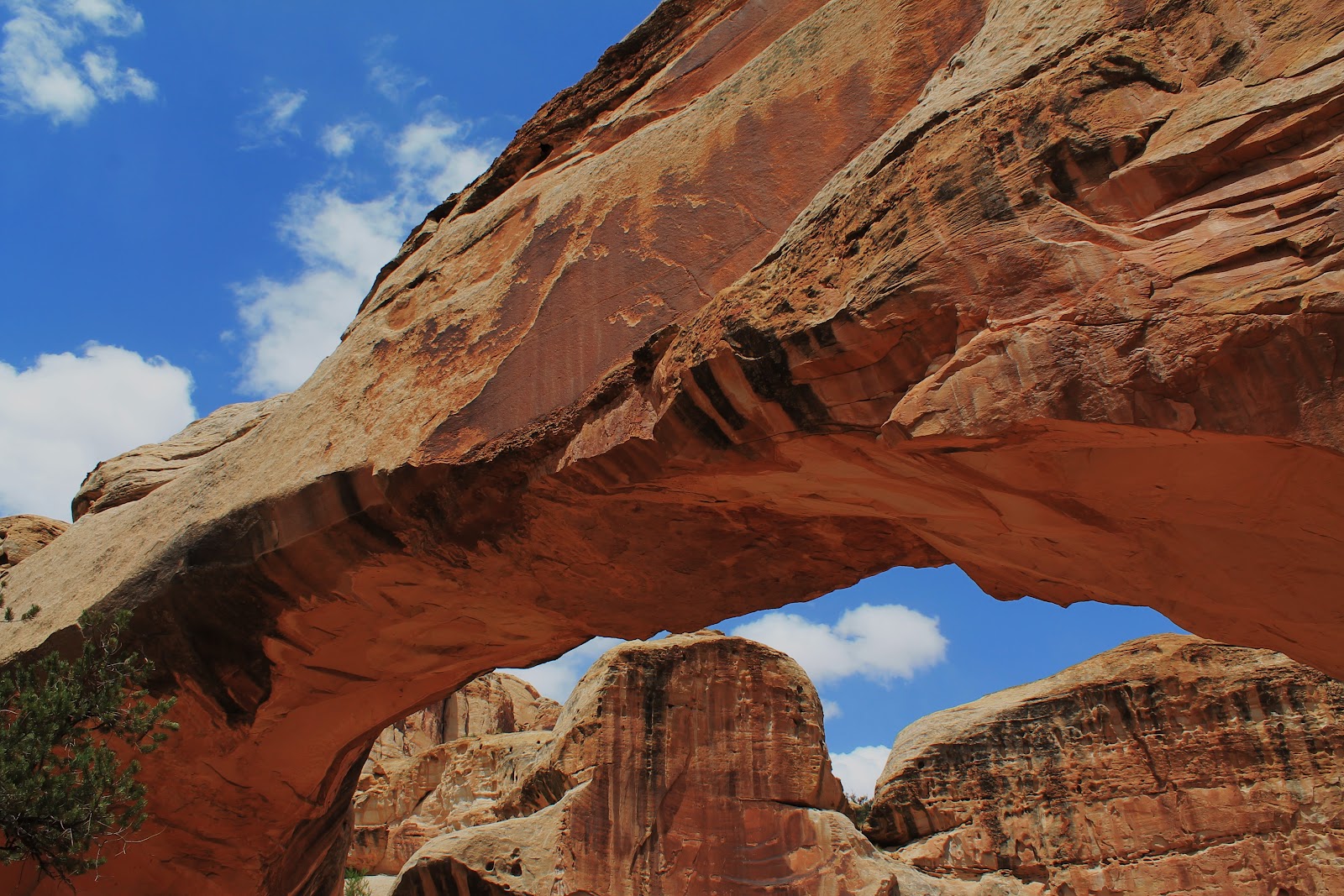 Where's Papa Dave III Hickman Bridge