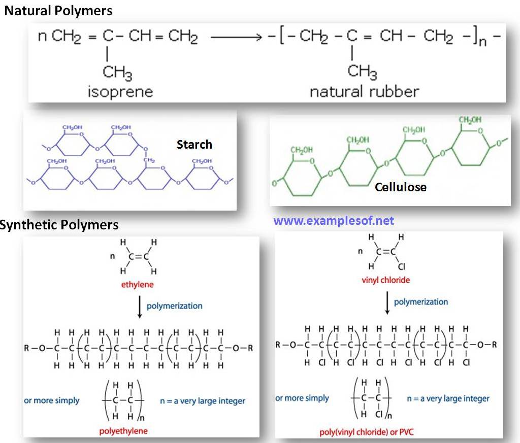 ExamplesOf.netExample of Polymers and Monomers