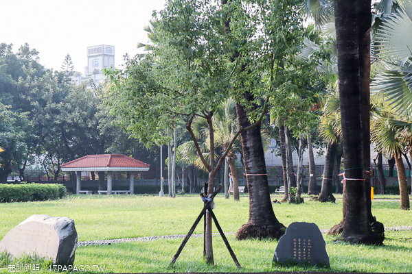 台中東區|東峰公園(228紀念公園)|步道廣場訓練場|設施完善|休閒運動好去處