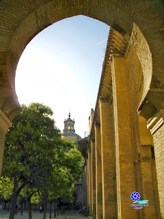Sevilla - Cúpula de la Iglesia del Sagrario desde el Patio de Naranjos de la Catedral