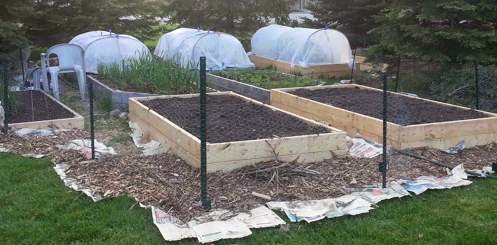 The Gardening Me: Keeping Rabbits Out