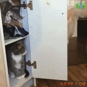 1469888124959.GIF