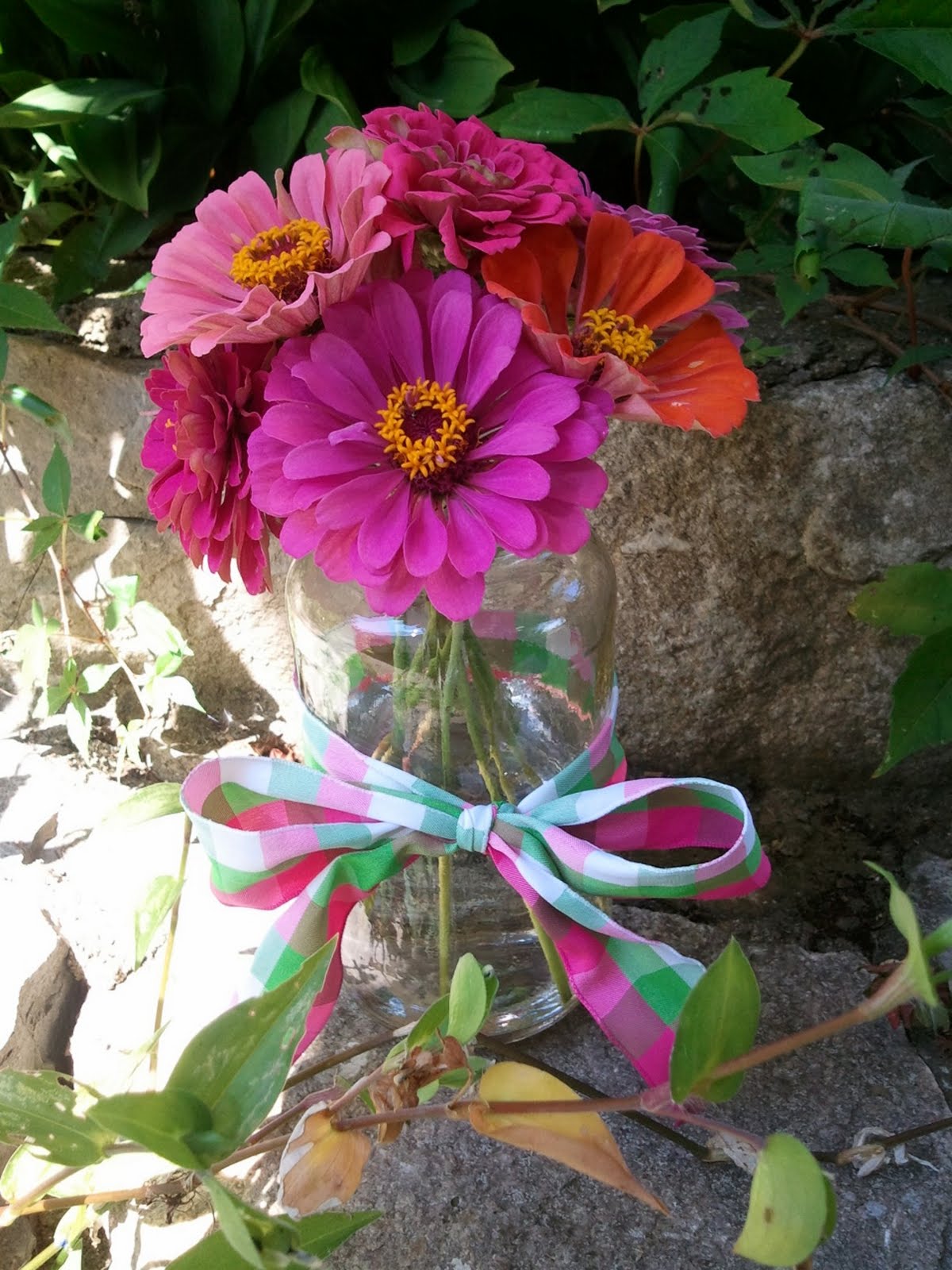 Beautiful Occupations Zenia Flowers