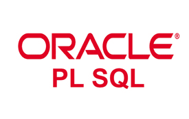 INTRODUCCIÓN AL LENGUAJE PL/SQL
