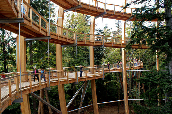 Bavarian Forest National Park