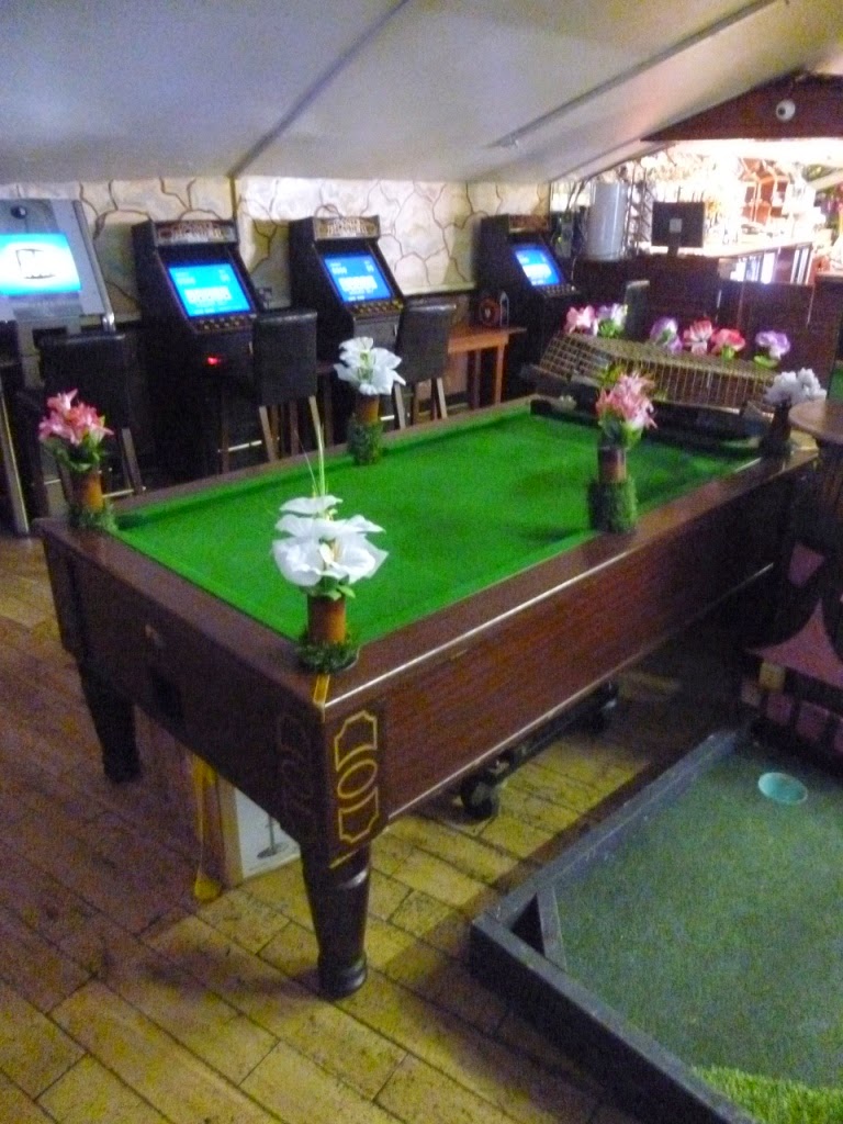 The Ham and Egger Files Crazy Snooker Pool Billiards Golf and Pit-Pat
