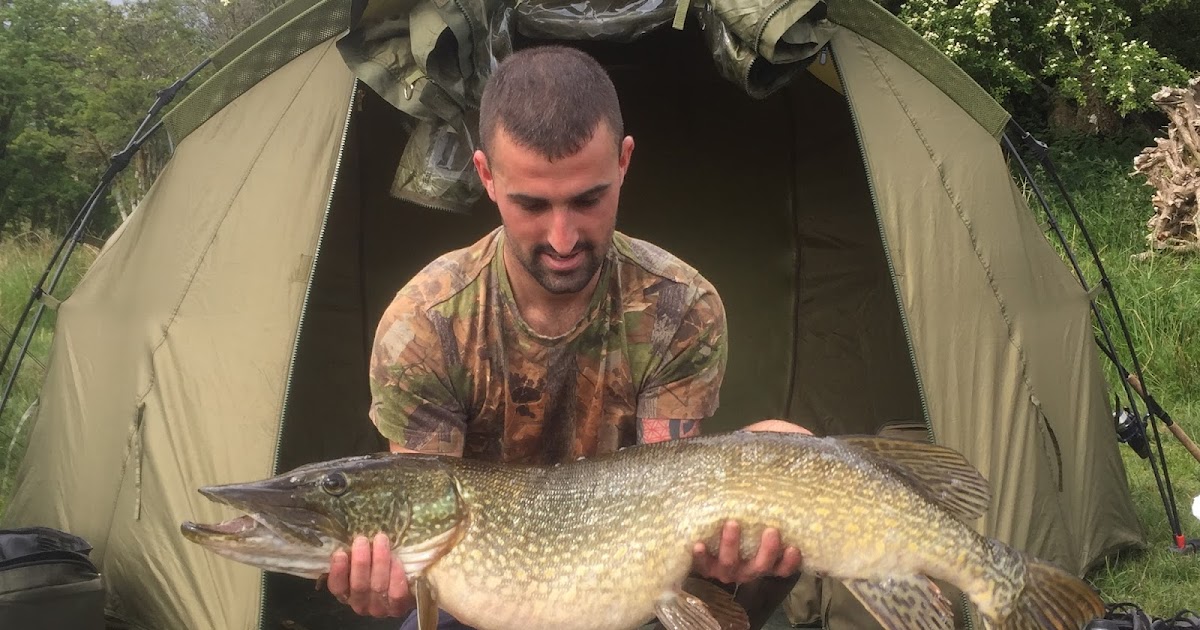 Fishingmegastore Fish of the Month Entry August 2016 Second Twenty!