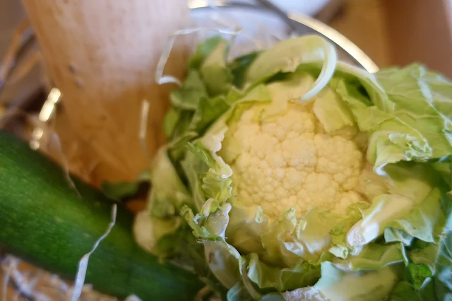 A cauliflower, butternut squash and a cauliflower