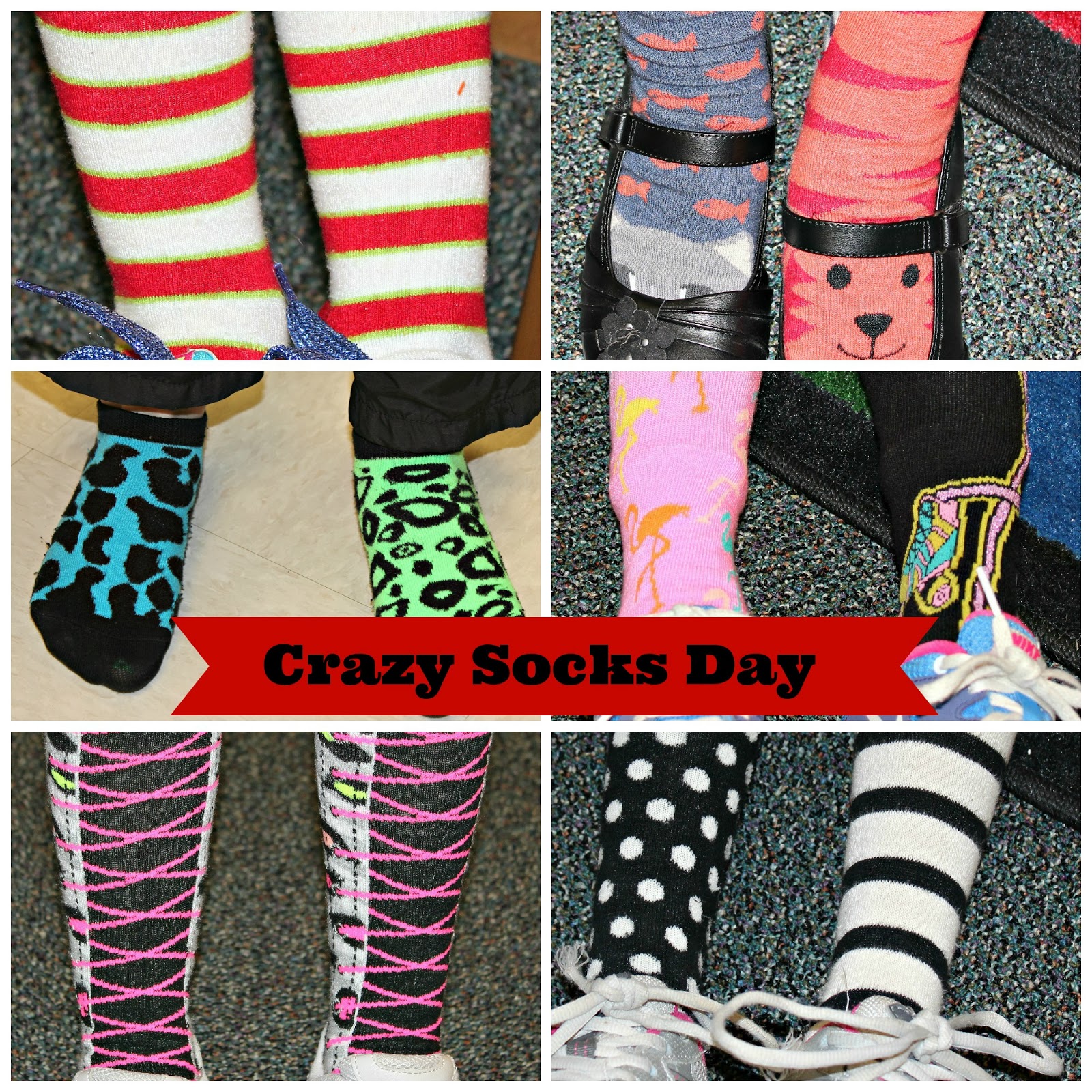 carolina on my mind Read Across America Week Crazy Socks Day