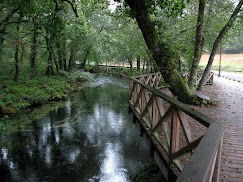 paseo fluvial por el rio verdugo