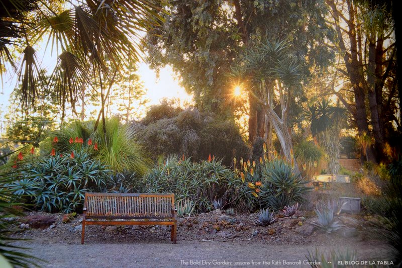 Jardín de suculentas de Ruth Bancroft en California