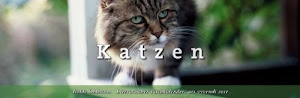 Tischkalender Katzen 2011 - Kalender