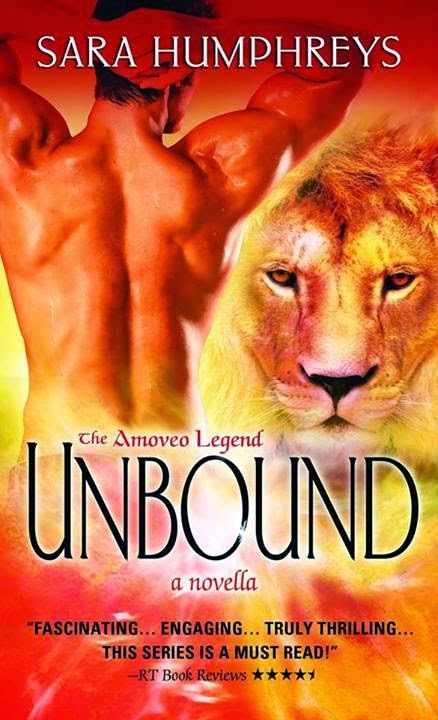 https://www.goodreads.com/book/show/23292427-unbound