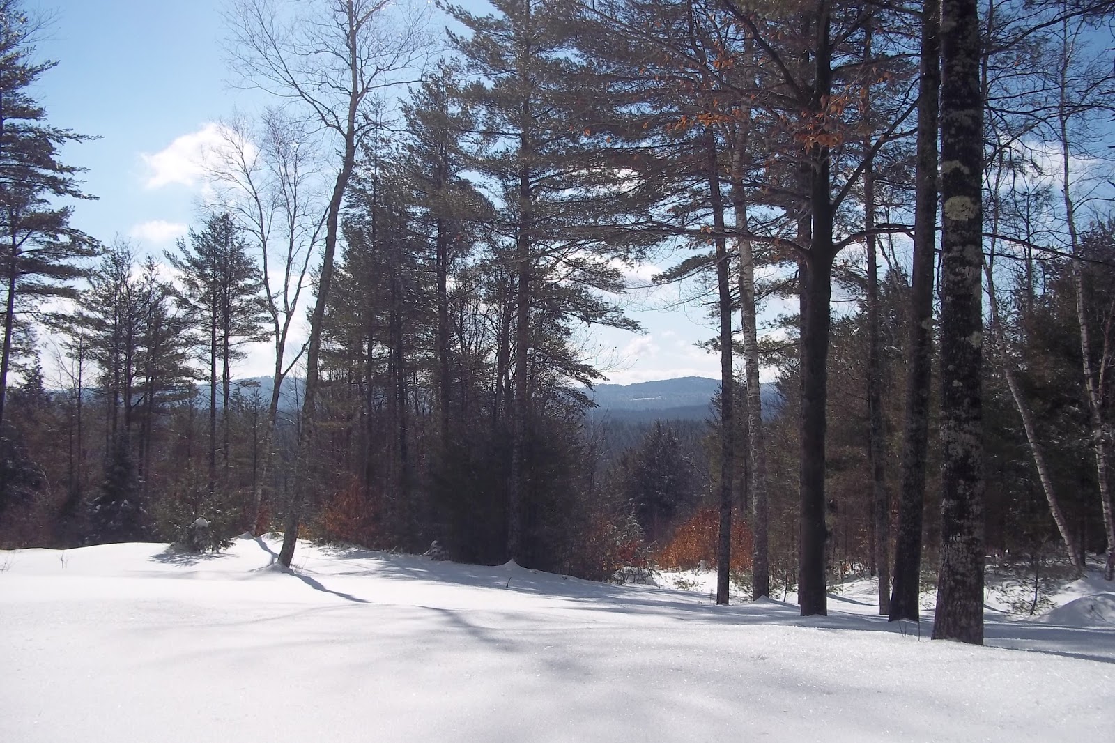Snow on the ground in New Hampshire