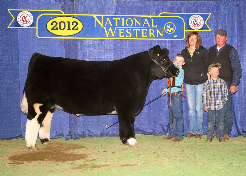 Lautner Farms Updated Pictures 1st and 2nd Place Class Winners NWSS