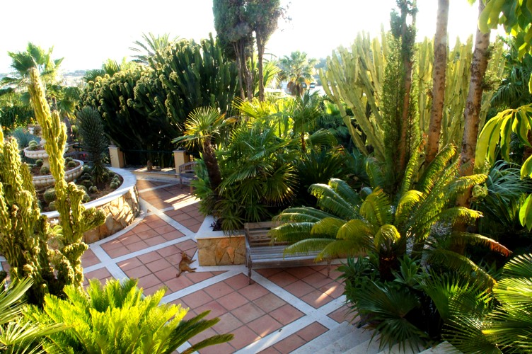 Ewa in the Garden: 37 Photos of the Absolutely Most Stunning Cactus