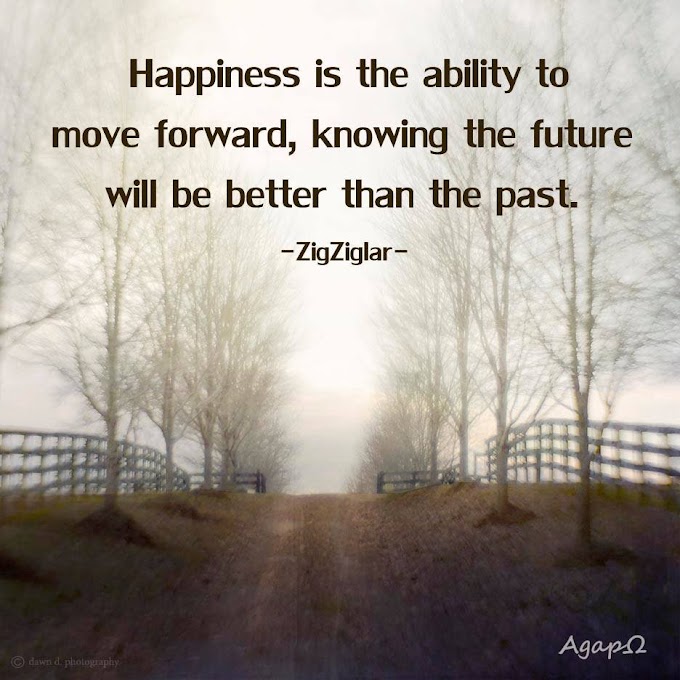 Happiness is the ability to move forward, knowing the future will be better than the past. 