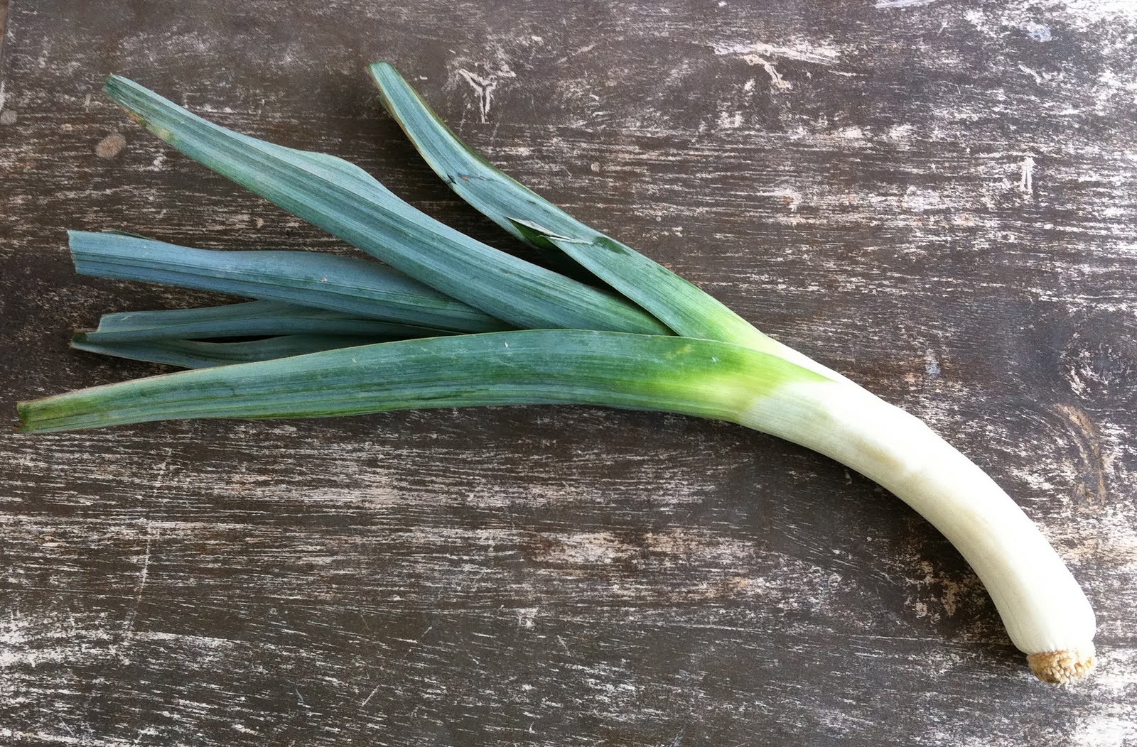 Experimental Kimchi Creole Fusion Kimchi with Okra and Sweet Potato Greens