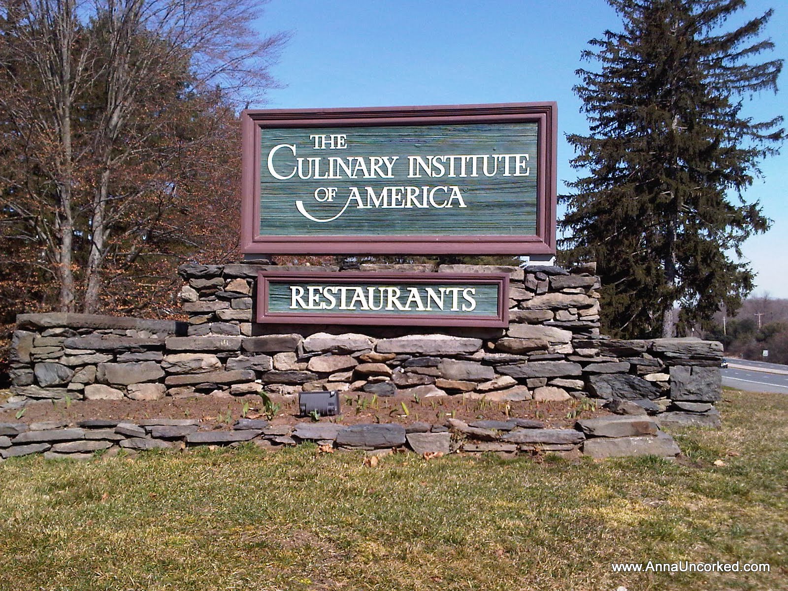 Ny Culinary Institute