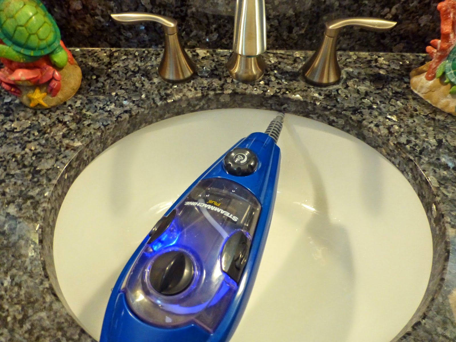 Theresa's Mixed Nuts SteamMachine Plus By Homeright Keeps The Home