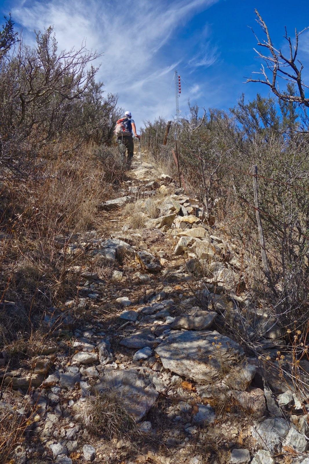 Earthline The American West Dos Cabezas Peaks, 8,354' and 8,357', Via